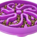 Outward Hound Fun Feeder Slo Bowl