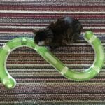 catit cat toy