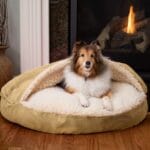 dog bed