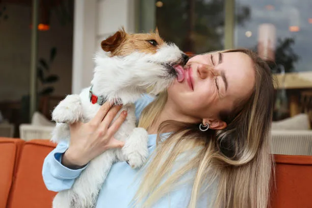 dog licking face