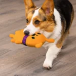 dog toys