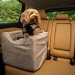 Snoozer lookout car seat