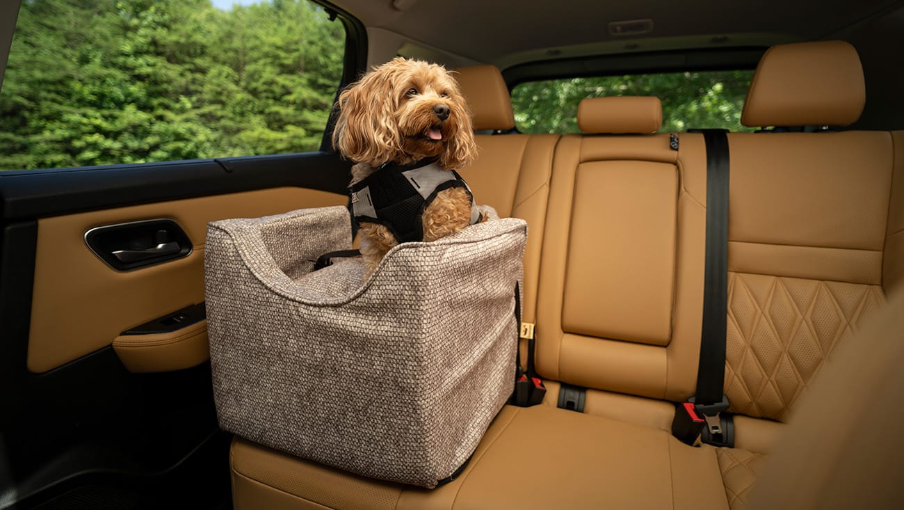 Snoozer lookout car seat