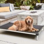 K9 Ballistics Chew Proof Elevated Dog Bed