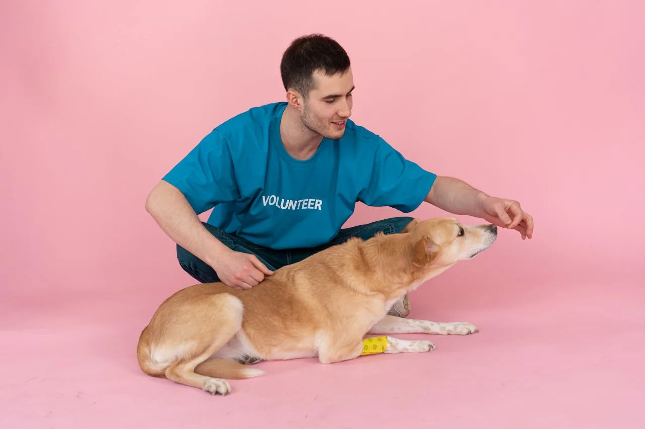 pet behavioral support pet behavioral support